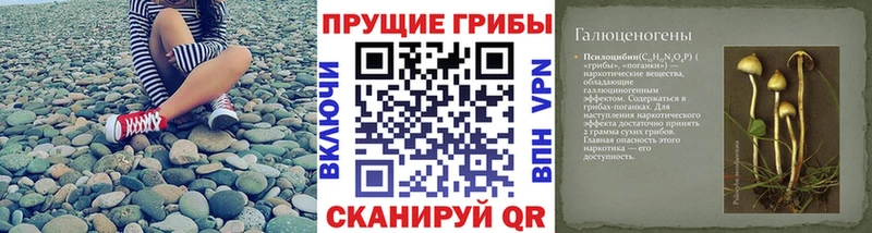 цены   Усть-Катав  Галлюциногенные грибы мицелий 